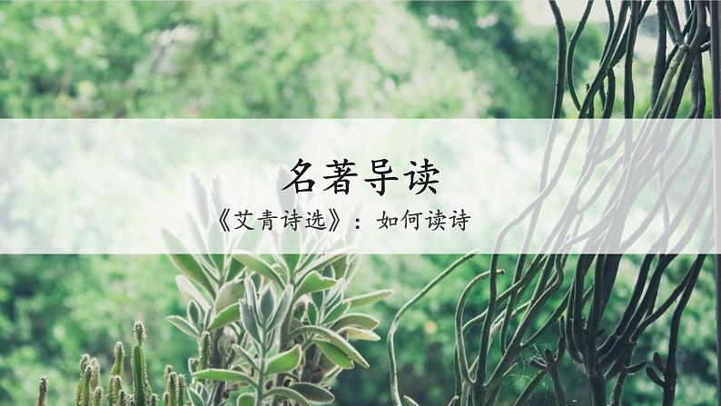 第一单元名著导读（一）《艾青诗选》：如何读诗课件02