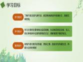 2021-2022学年部编版七年级上册1.1《春》PPT课件