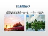 部编版九年级语文上册3《我爱这土地》课件