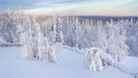人教部编版九年级上册1 沁园春·雪说课课件ppt