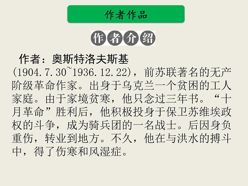 部编版语文名著阅读课件----------《钢铁是怎样炼成的》第2页