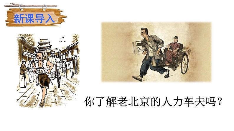 部编版语文名著阅读课件----------《骆驼祥子》 (2)第3页