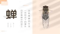 2021学年19* 蝉教课ppt课件