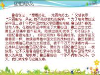 初中语文回忆鲁迅先生（节选）示范课ppt课件