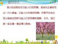 语文七年级下册19* 一棵小桃树课文配套ppt课件