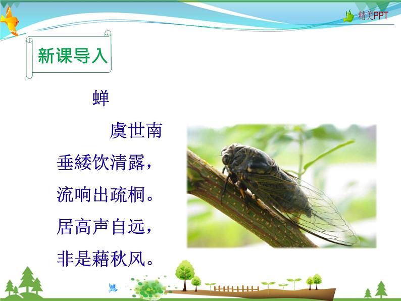 人教版 八年级语文上册  第五单元  20 蝉  教学课件02