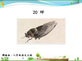 人教版 八年级语文上册  第五单元  20 蝉  教学课件