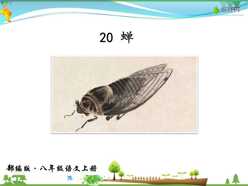 人教版 八年级语文上册  第五单元  20 蝉  教学课件03