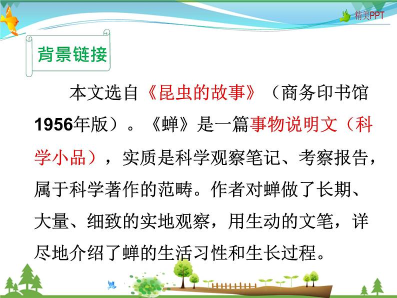 人教版 八年级语文上册  第五单元  20 蝉  教学课件05