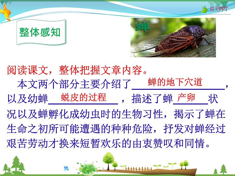 人教版 八年级语文上册  第五单元  20 蝉  教学课件08