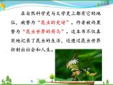 人教版 八年级语文上册  第五单元  名著导读《昆虫记》 科普作品的阅读课件PPT