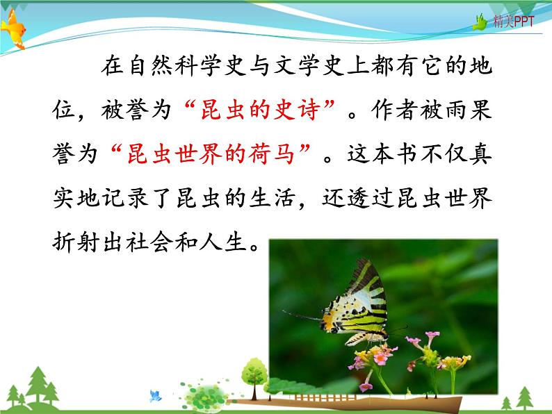 人教版 八年级语文上册  第五单元  名著导读《昆虫记》 科普作品的阅读课件PPT第4页