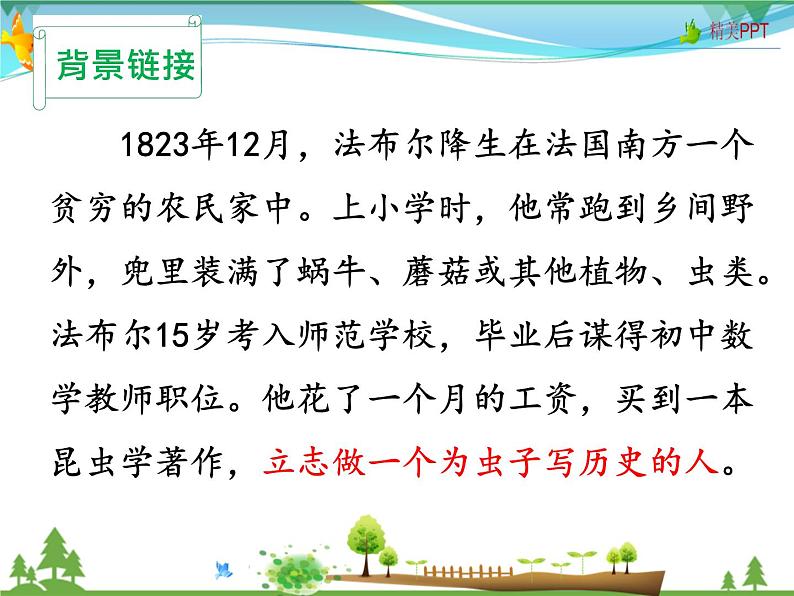 人教版 八年级语文上册  第五单元  名著导读《昆虫记》 科普作品的阅读课件PPT第6页
