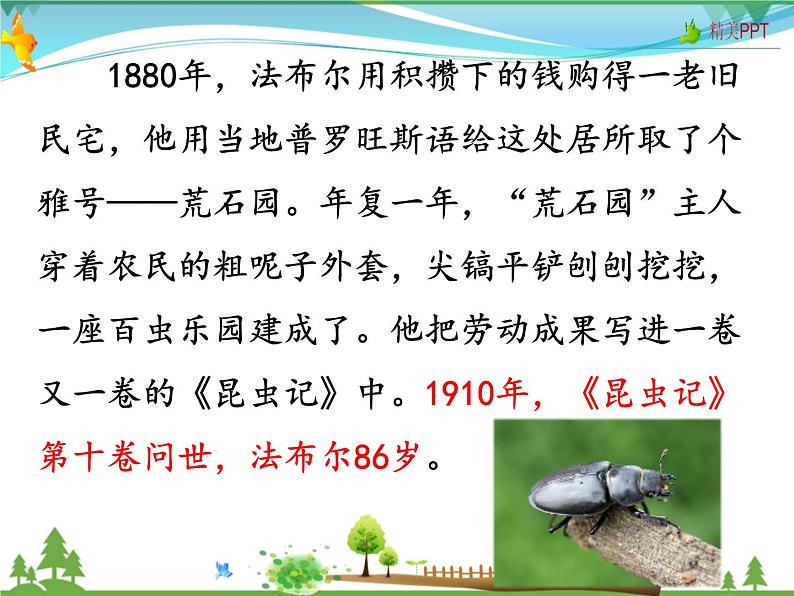 人教版 八年级语文上册  第五单元  名著导读《昆虫记》 科普作品的阅读课件PPT第8页