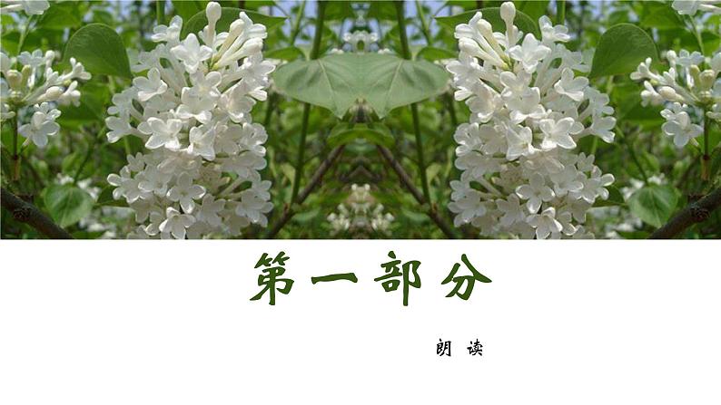 语文部编版五四制六年级上册一单元《丁香结》优秀教案课件PPT第3页