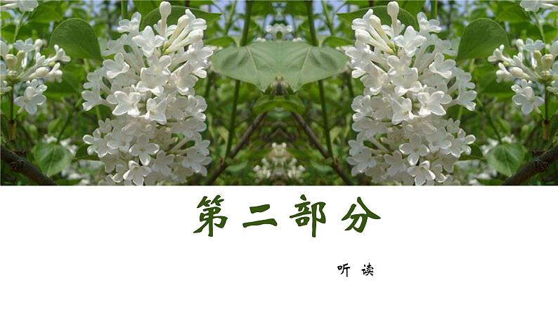 语文部编版五四制六年级上册一单元《丁香结》优秀教案课件PPT第5页