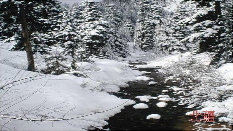 部编版八年级上册语文--三单元写作：学习描写景物课件第4页