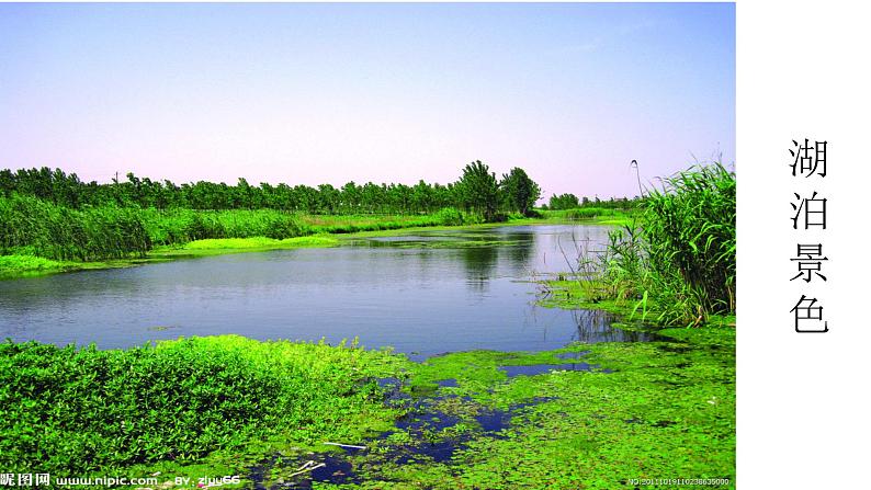部编版八年级上册语文--三单元写作：学习描写景物课件第5页