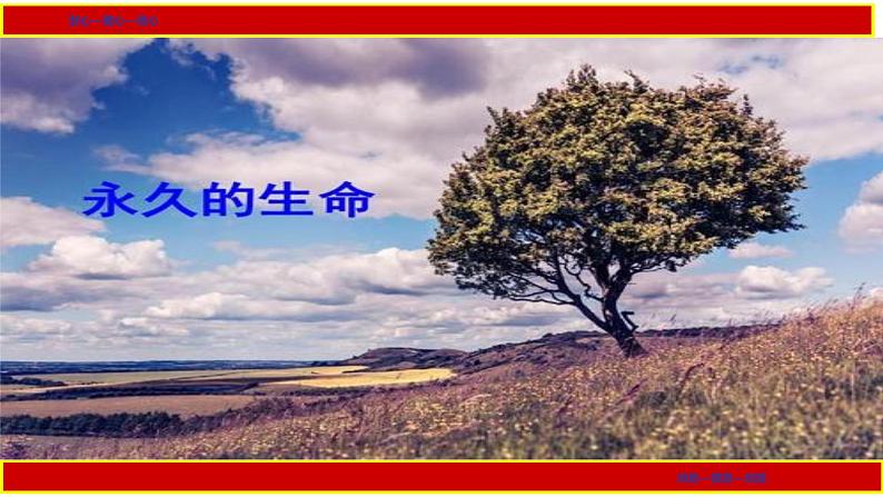 部编版八年级上册语文--16《永久的生命》课件PPT01