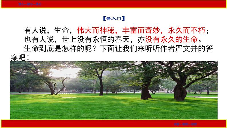 部编版八年级上册语文--16《永久的生命》课件PPT02