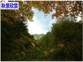 部编版八年级上册语文--四单元写作 语言要连贯课件PPT