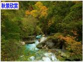 部编版八年级上册语文--四单元写作 语言要连贯课件PPT