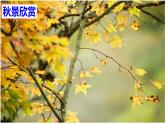 部编版八年级上册语文--四单元写作 语言要连贯课件PPT