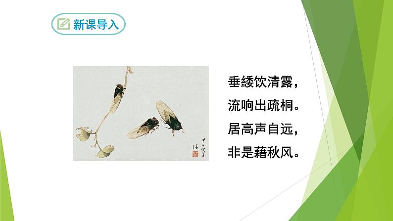 部编版八年级上册语文--20 蝉课件07