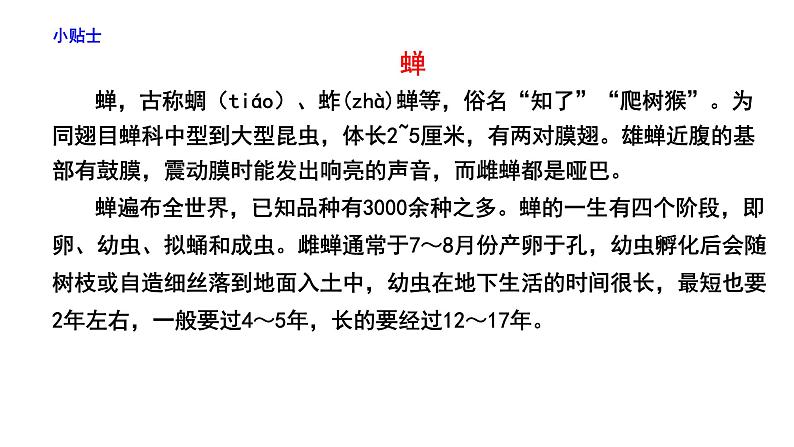 部编版八年级上册语文--20 蝉课件08