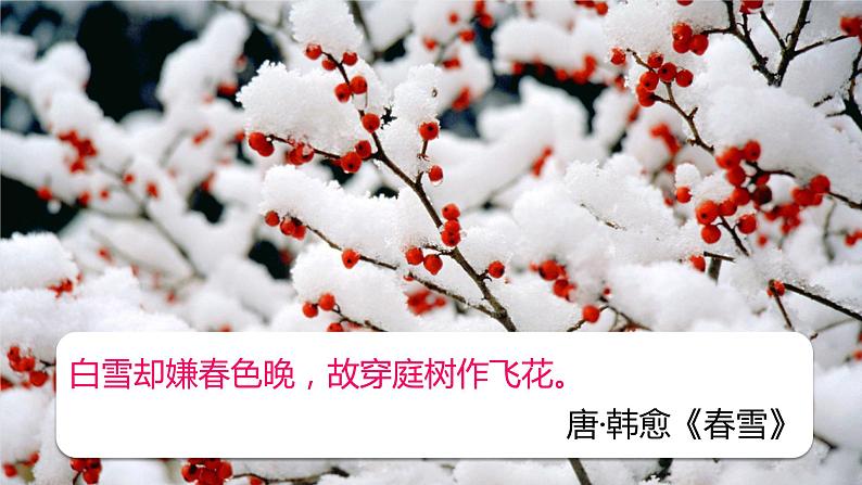 部编版九年级上册语文--《沁园春·雪》课件PPT第4页