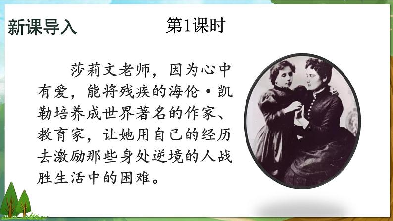 2021年初中语文 人教部编版 七年级上册 第四单元 13 植树的牧羊人 (课件)02