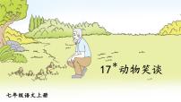 初中语文人教部编版七年级上册动物笑谈示范课ppt课件