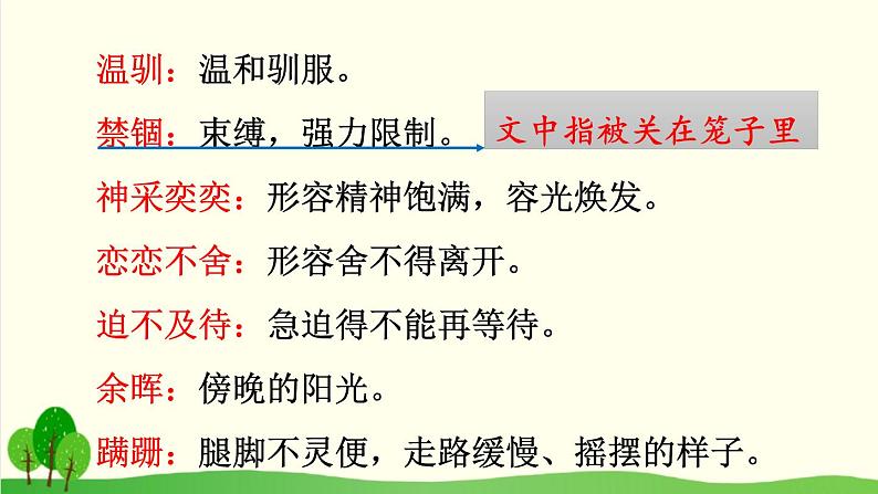 2021年初中语文 人教部编版 七年级上册 第五单元 17 动物笑谈 （课件）第8页