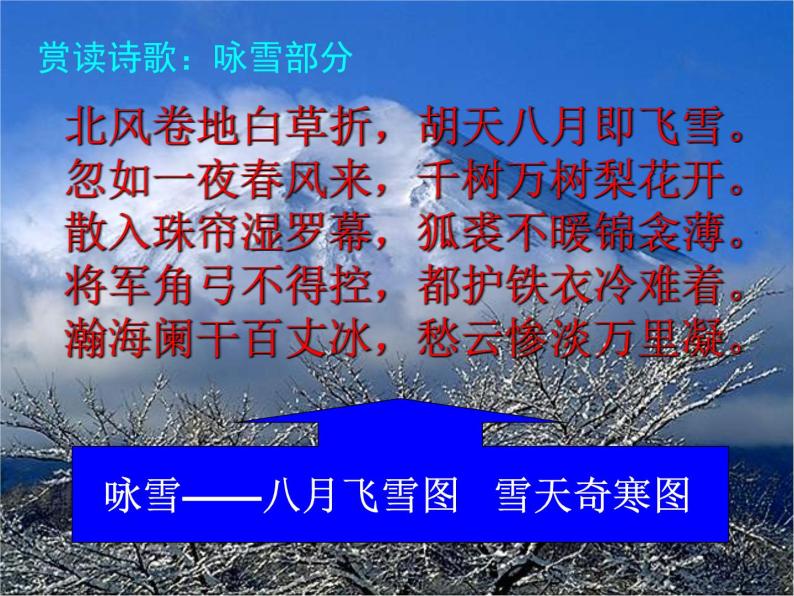 2021-2022学年九年级语文上学期：中考一轮复习《白雪歌送武判官归京》-课件06