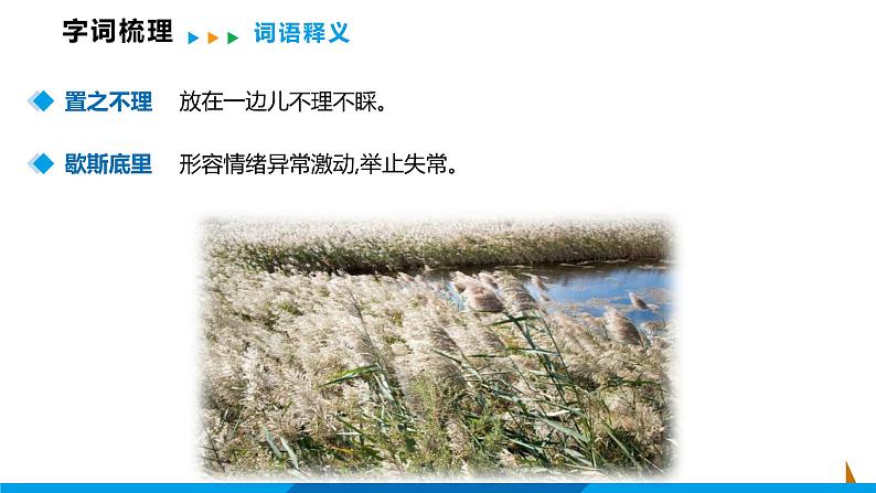 第17课  孤独之旅课件  部编版语文九年级上册08