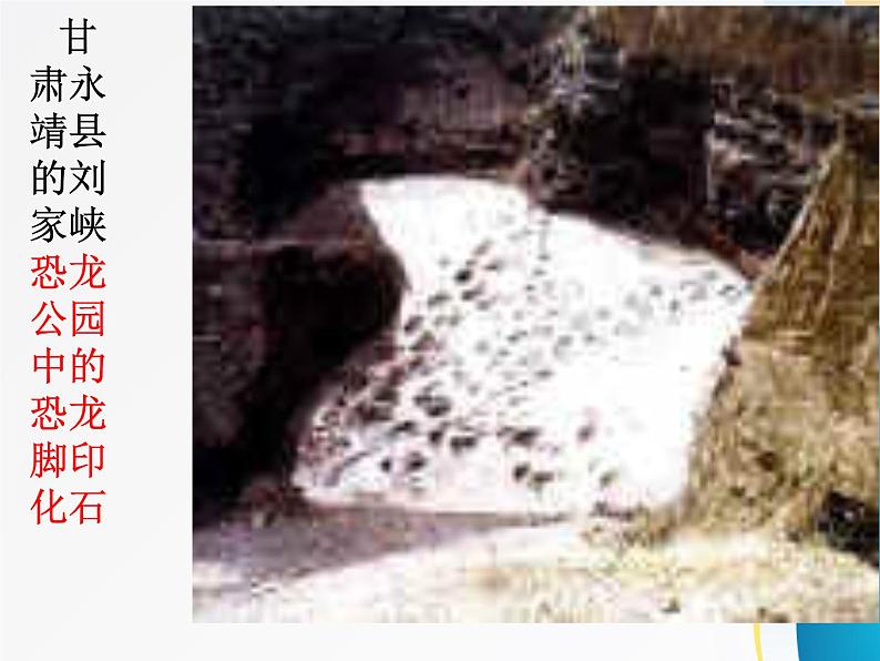 部编版语文八年级下册  第8课  时间的脚印（共22张 ）课件PPT第8页