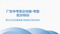最新中考语文 复习课件3.现代文及名著阅读·考前抢分组合特训(1)