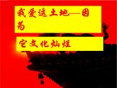 2我爱这土地课件PPT