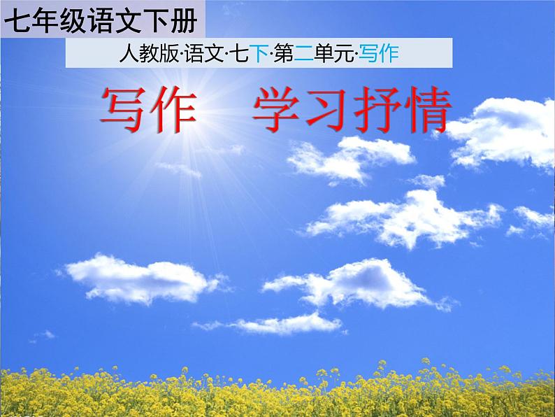 《学习抒情》课件第1页