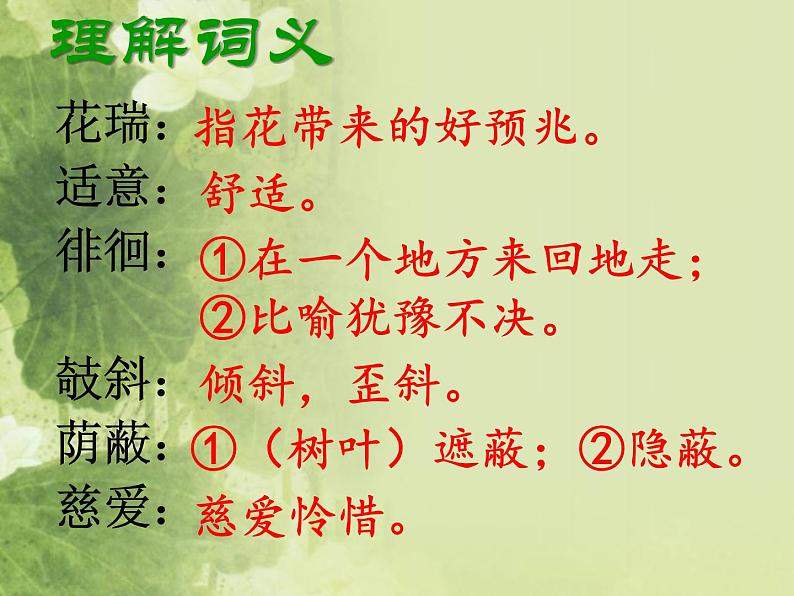 第7课 《散文诗二首——荷叶·母亲》  课件 2021-2022学年部编版语文七年级上册06