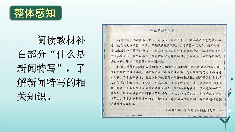 2021-2022人教版语文八年级上册第一单元 《“飞天”凌空——跳水姑娘吕伟夺魁记》课件04