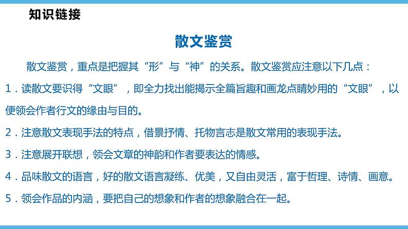 第3课  雨的四季课件（26张）2021-2022学年部编版语文七年级上册第5页