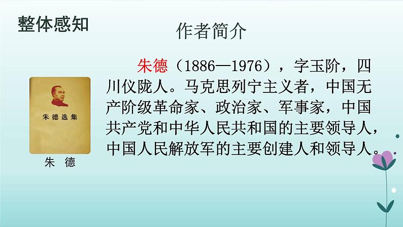 人教版语文八年级上册第二单元  《回忆我的母亲》课件03