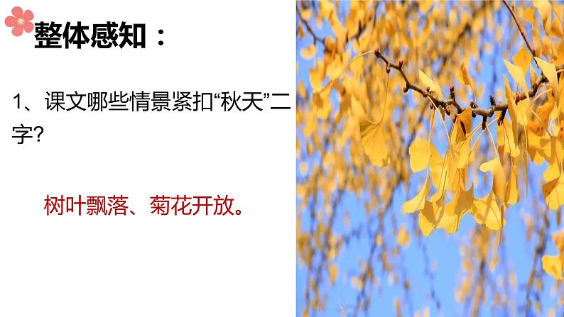 5、秋天的怀念 课件-部编版七年级上册 (共24张PPT)第7页