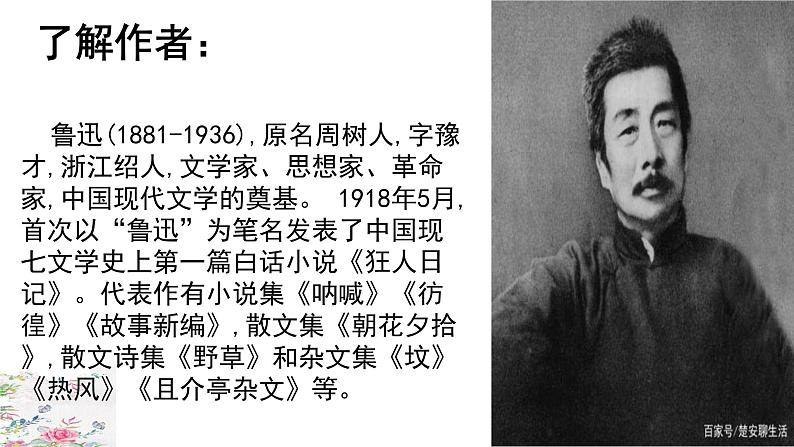 9、从百草园到三味书屋 课件+教案+同步测试题-部编版七年级上册07