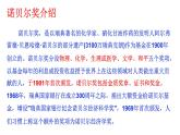 部编版八年级语文上册教学课件--首届诺贝尔奖颁发课件