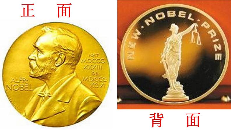 部编版八年级语文上册教学课件--首届诺贝尔奖颁发课件第6页