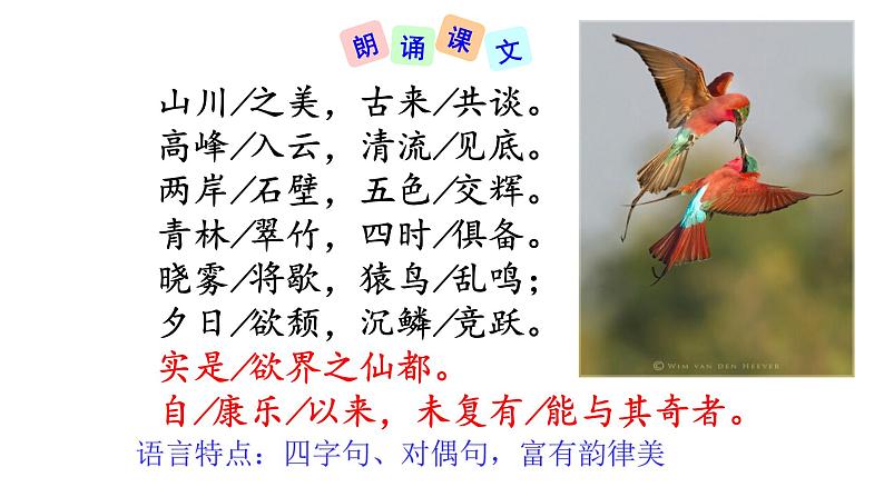 部编版八年级语文上册--11、短文两篇---答谢中书书课件PPT第8页