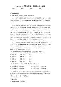 北京市海淀区2020-2021学年九年级上学期期中语文试题(word版含答案)