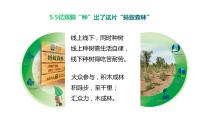 初中人教部编版13 植树的牧羊人教课内容课件ppt